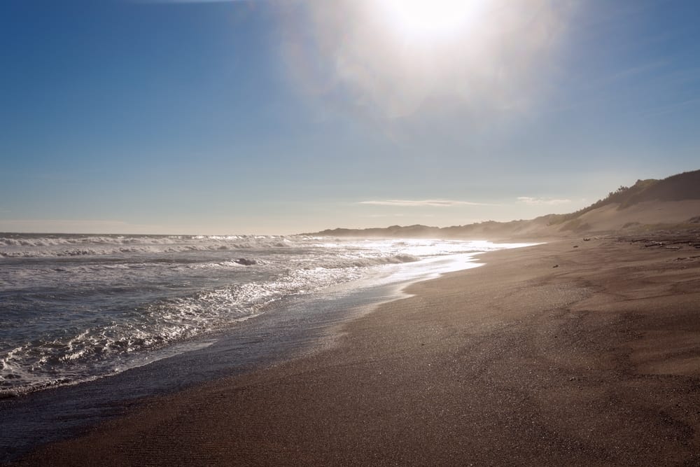 Explore the shimmering sands of Fiji with Jean-Michel Cousteau Resort.