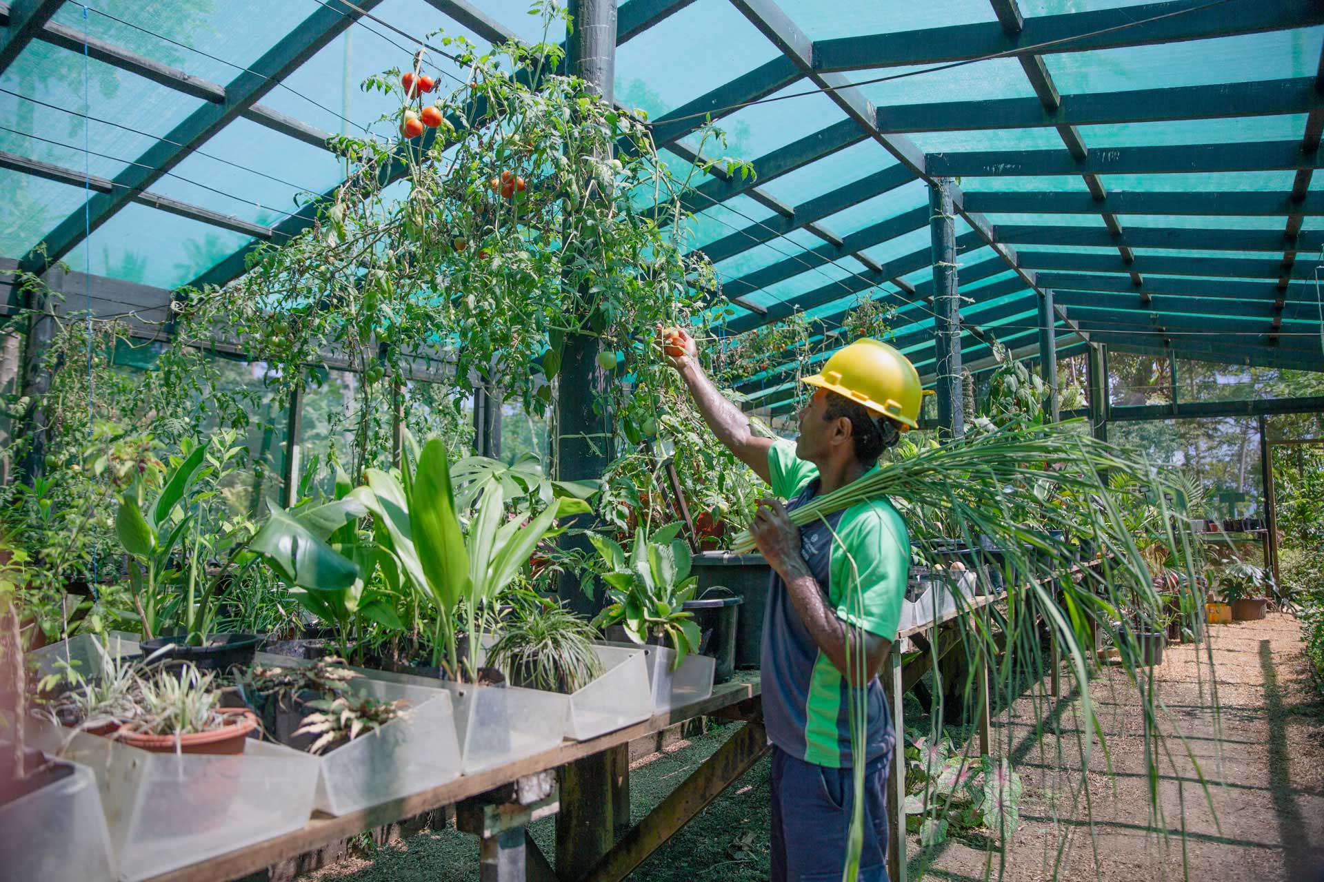 4-Fiji-Conservation-Eco-friendly-programmes