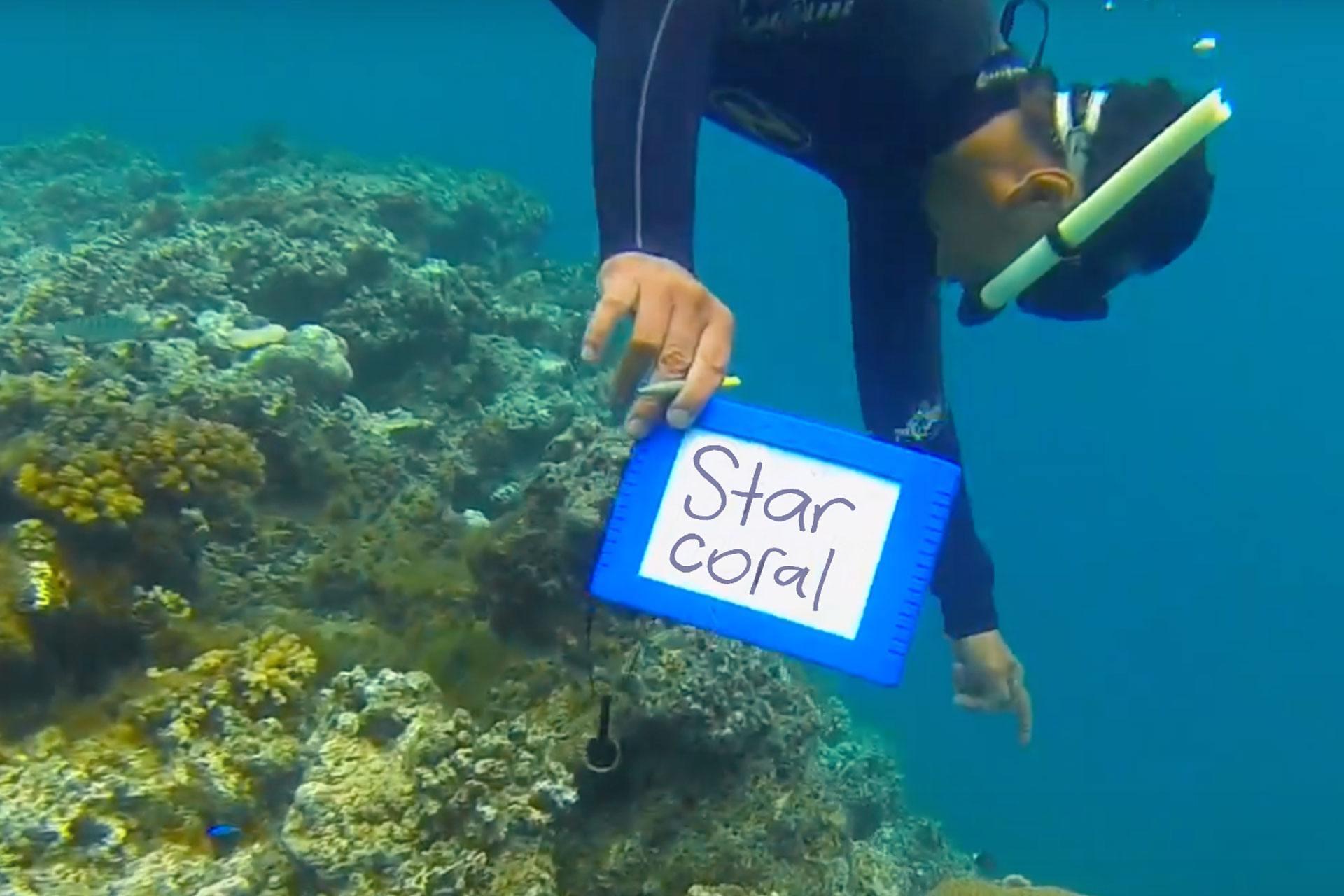 Jean-Michel Cousteau Resort Fiji Resort meaningful educational kids eco-programmes